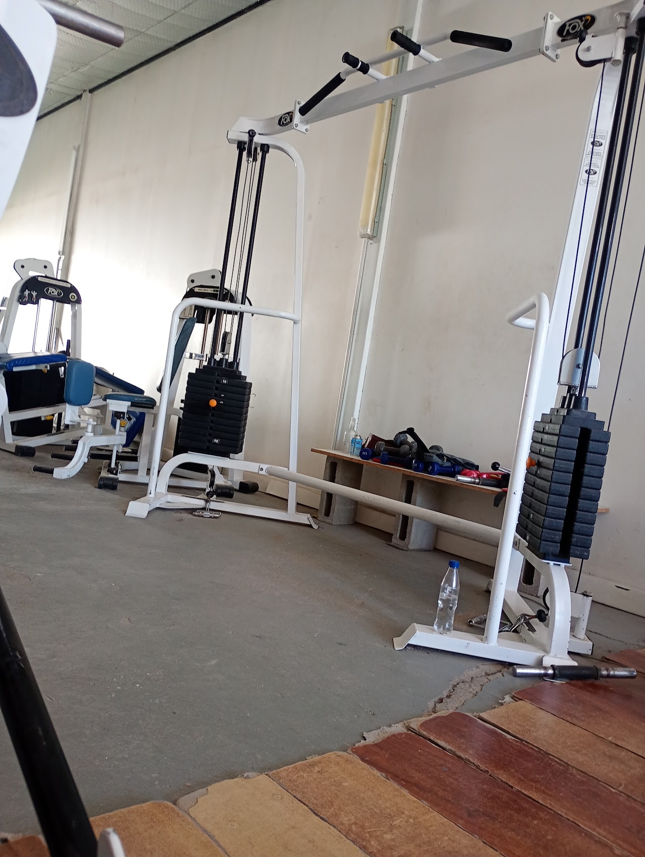 Sector de musculación de Adonis Gym